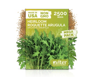 2500 Roquette Arugula Seeds (Diplotaxis tenuifolia), Arugula Rocket Seeds & Salad Greens Seeds, Herb Seeds For Indoor, Outdoor Herb Garden