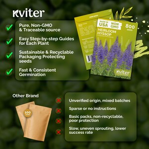 May include: Image of Kviter brand heirloom hyssop seeds. The packaging is green with a picture of purple flowers. The image also shows the benefits of Kviter seeds versus another brand.