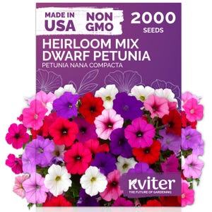 2000 PCS - Mix Dwarf Petunia Seeds for Planting Flowers (Nana Compacta) — Mini Petunia Flower Seeds, Annual, Organic & non GMO