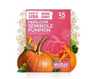 15 Seminole Pumpkin Seeds For Planting (Cucurbita Moschata) Heirloom Pumpkin Variety, Non GMO Vegetable Garden Seeds
