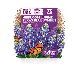 75 Texas Bluebonnet Lupine Seeds (Lupinus Texensis), Blue Texas Bluebonnet Seed Packets, Wildflower Native Plant Seeds For Spring Gardens