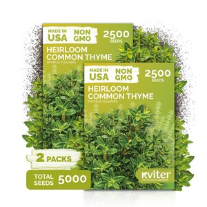 May include: Two rectangular seed packets of Heirloom Common Thyme, Thymus vulgaris, featuring green packaging with a plant illustration. Each packet contains 2500 seeds, totaling 5000 seeds. Text includes Made in USA, Non GMO, and Kviter branding.