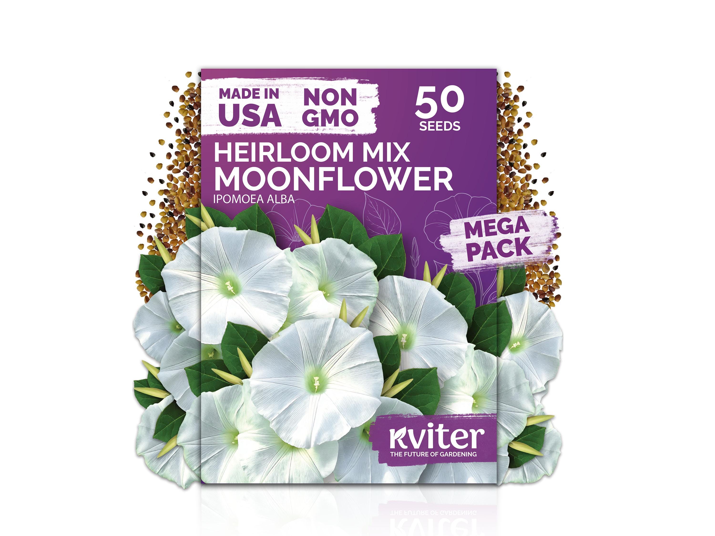 50 Moonflower Seeds for Planting (ipomoea Alba), Night Blooming Vine, White  Night Flower, Fragrant Vine Flower Seeds for Flower Garden - Etsy