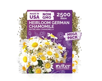 2500 German Chamomile Seeds (Matricaria chamomilla), Herb Seeds for Planting, Medicinal Herb Seed Packets, Tea Herb, Garden, Indoor Growing
