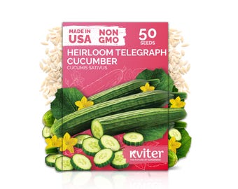 50 English Telegraph Cucumber Seeds (Cucumis Sativus), Telegraph Cucumber Seed Packets, Vegetable Seeds For Vegetable Garden & Greenhouse