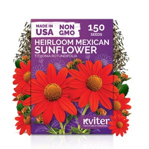 Bulk Sunflower Seeds - Etsy