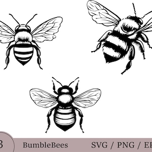 Bumblebee Graphic Bundle | Bee SVG PNG | Cute Digital Designs for Cricut & Crafts