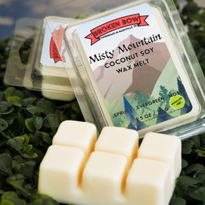 Misty Mountain Wax Melt | Handmade Spruce Evergreen Scent | Coconut Soy Beeswax Blend, Phthalate-Free