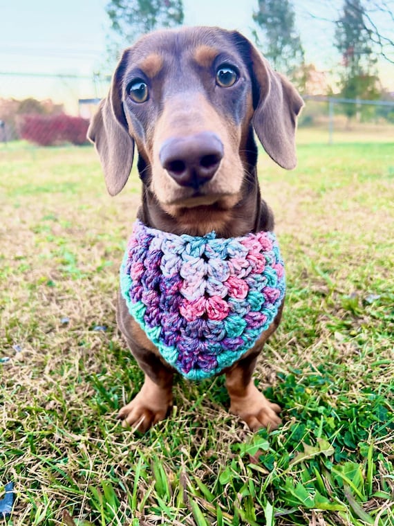 Crochet Dog Bandana | Adjustable Tie, Cute Pup Accessories