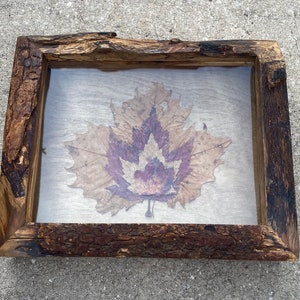 May include: A rustic wooden frame with a pressed leaf inside. The leaf is brown and has a purple center. The frame is made of rough-hewn wood and has a natural finish.