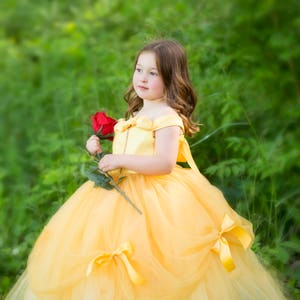 Princess Belle Tutu Dress- Belle Dress- Belle Costume- Beauty and the Beast