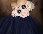 Winter Blush Tutu Dress