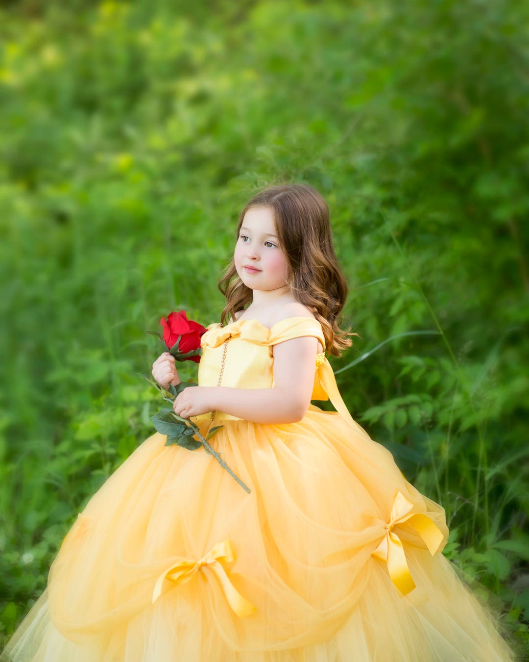 Princess Belle Tutu Dress Belle Dress Belle Costume Beauty | lupon.gov.ph