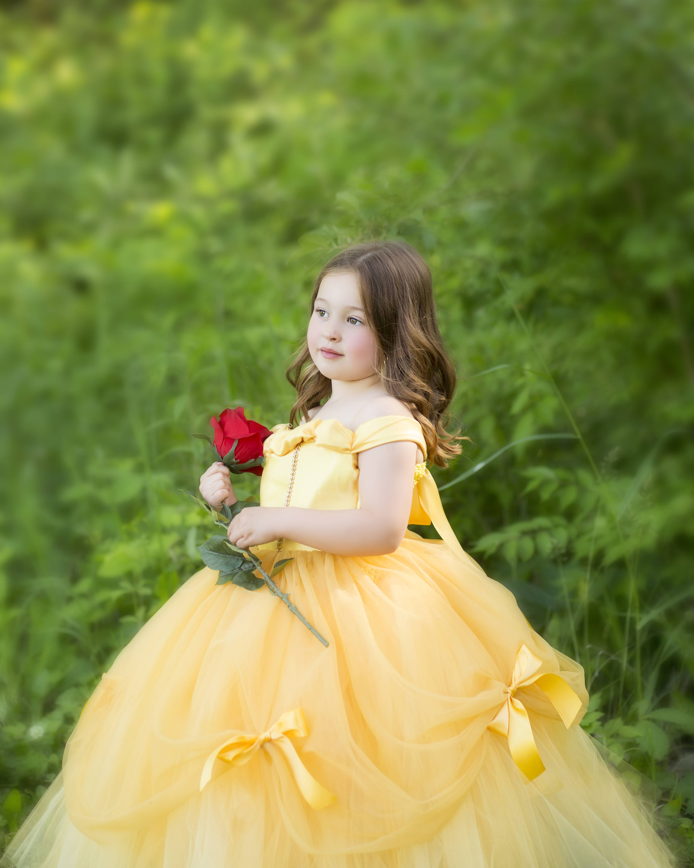 Buy Princess Belle Tutu Dress Belle Dress Belle Costume Beauty Online in  India - Etsy