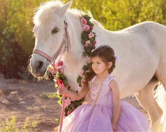 Rapunzel Dress- Rapunzel Costume