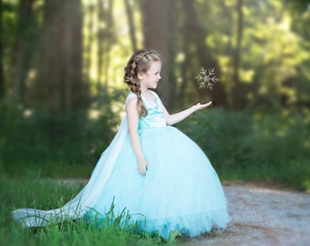 Elsa Dress- Frozen Dress- Queen Elsa Costume- Frozen Costume