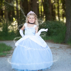 Cinderella Dress- Cinderella Costume