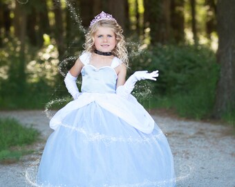 Cinderella Dress- Cinderella Costume