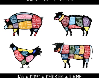 Set of Four Meat Butchery Diagrams - Pig, Cow, Lamb, Chicken