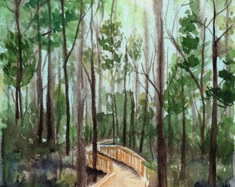 Watercolor Woodtrace Path