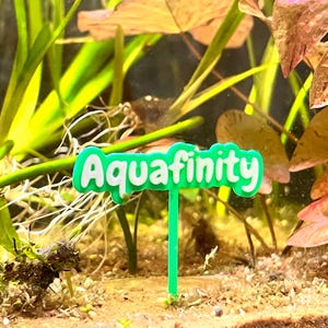 May include: A green plastic sign with the word "Aquafinity" in white letters, placed in a planted aquarium.