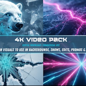 Może przedstawiać: Cyfrowy pakiet wideo 4K z czterema dodatkowymi wizualizacjami. Obraz przedstawia niedźwiedzia polarnego, abstrakcyjne neonowe wzory i tekst "Motion visuals to use in backgrounds, shows, edits, promos & more!"