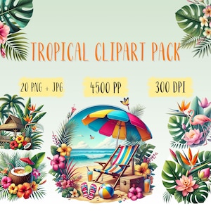 Lot de 20 images tropicales d'été à l'aquarelle, paysages d'été tropicaux png, plantes oiseaux, paysages tropicaux, numérique png transparent jpg