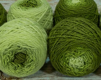 Shorty Sock Twins " Serpent Green " - Lleap Handpainted Semisolid Gradient Sock Yarn