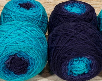 Shorty Sock Twins " Grackle " - Lleap Handpainted Semisolid Gradient Sock Yarn