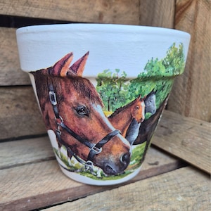 May include: A white ceramic plant pot decorated with a horse-themed design. The pot displays a detailed image of a brown horse's head with a bridle, and other horses in a green field. The background is a wooden structure.