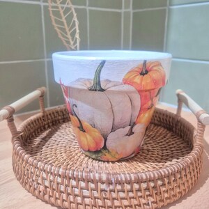 May include: A decorative flower pot with a pumpkin design in orange, white, and green. It rests on a round, woven wicker tray with handles. The background is a light green tiled wall.