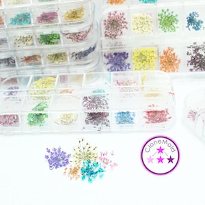 Peut inclure: Une boîte en plastique transparente remplie de petites fleurs séchées de différentes couleurs. Les fleurs sont disposées en rangées et sont prêtes à être utilisées pour l'artisanat ou le nail art. La boîte est étiquetée "Clone Mold" avec trois étoiles.