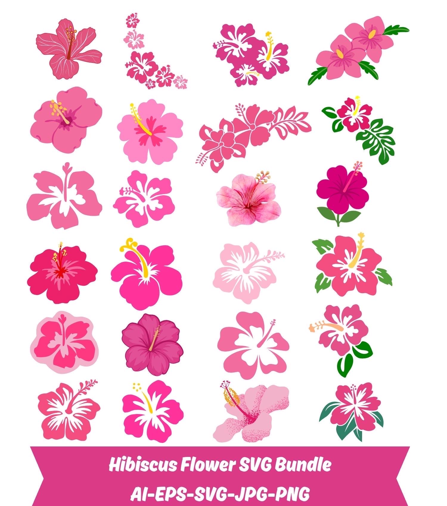 Hibiscus Flower SVG Bundle: Tropical Floral Designs (digital File) - Etsy