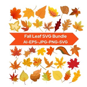 Fall leaves svg,Leaves SVG Bundle,Autumn Leaf SVG,Maple Leaf Png,Leaf Clipart,Fall Cut Files,Cut Files for Crafts,Instant Digital Download