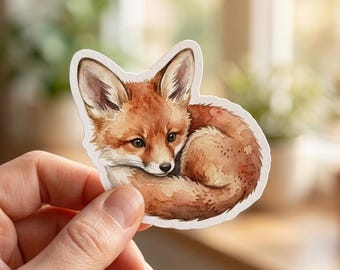 Puede incluir: Una pegatina de acuarela de un zorro enroscado. El zorro tiene pelaje marrón rojizo, vientre blanco y orejas grandes. La pegatina está sujeta por una mano, con un fondo borroso de una ventana y vegetación.