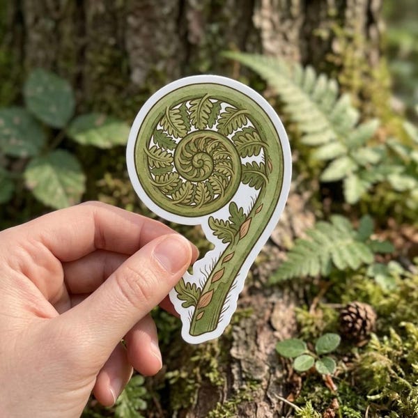 Fiddlehead Fern Sticker Spiral Spore Vinyl Decal Cute Witchy Forest Green Gift