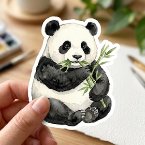 May include: A watercolor sticker of a panda bear eating bamboo. The panda is black and white with green bamboo. The sticker is cut around the panda's shape.
