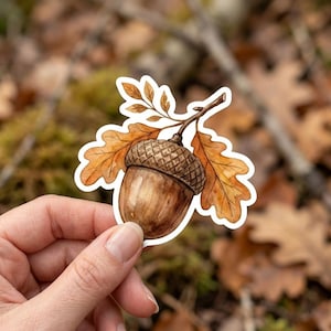 May include: Watercolor sticker of an acorn with brown and orange leaves. The acorn is a light brown color with a textured cap. The leaves are a mix of orange and brown. The sticker is held in front of a blurred background of leaves and branches.