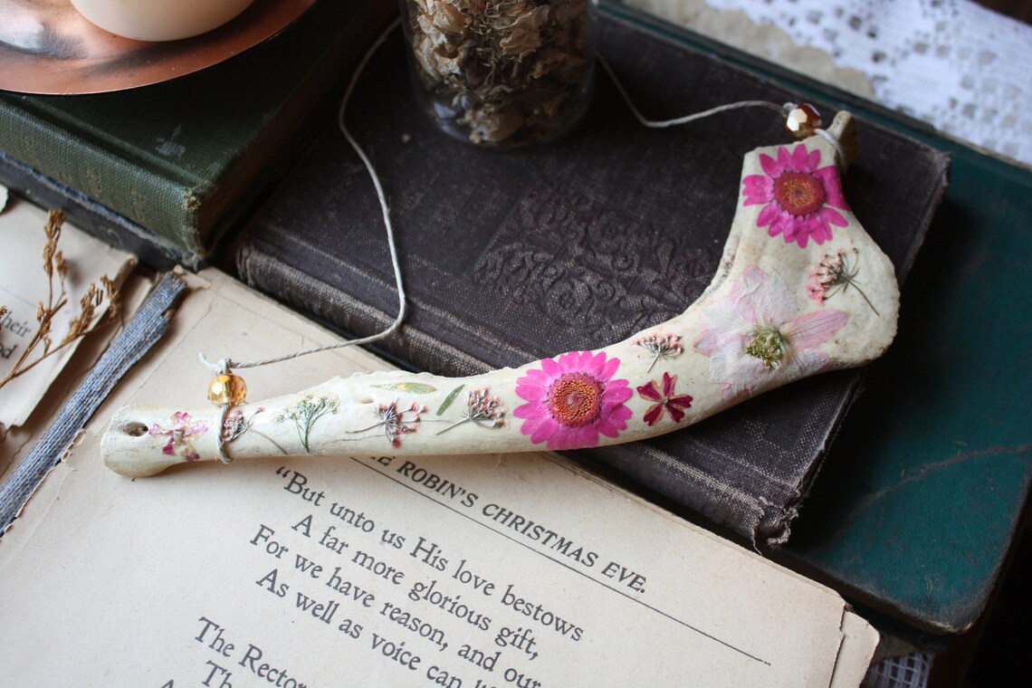 Jaw Bone Art Deer Jaw Bone Native Made Etsy