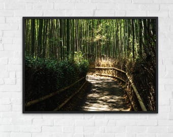 Impresión de bosque de bambú de Kioto, arte mural de bambú, fotografía, impresión digital de bosque, decoración de paisaje japonés, viajes a Kioto, fotografía de naturaleza