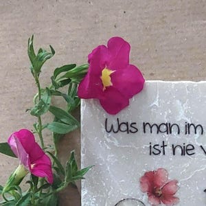May include: A square white stone tile featuring a black ink illustration of a small creature holding a pink flower, with the German text "Was man im ist nie v" and "wir ve" printed in black, accented by two vibrant magenta petunia flowers.