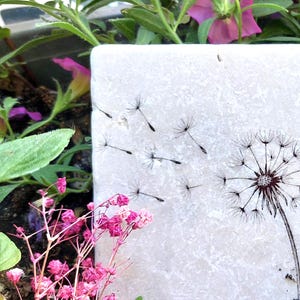 Kleiner Grabstein Grabschmuck Italienischer Marmor mit Pusteblume Trost Abschied Erinnerung Trauer Gedenkstein