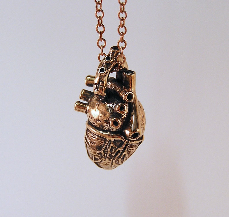 Anatomical human Heart, bronze, 20 inch chain br image 4