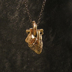 Anatomical human Heart, bronze, 20 inch chain br image 2
