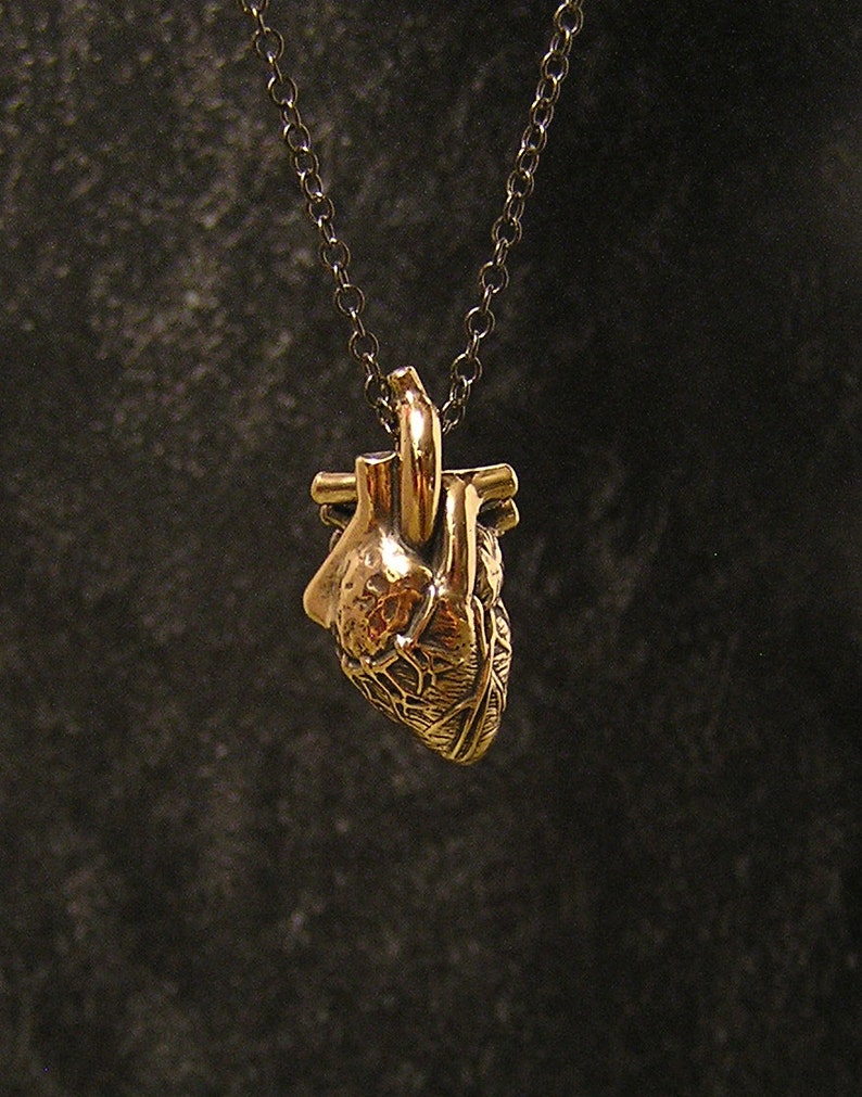 Anatomical human Heart, bronze, 20 inch chain br image 2