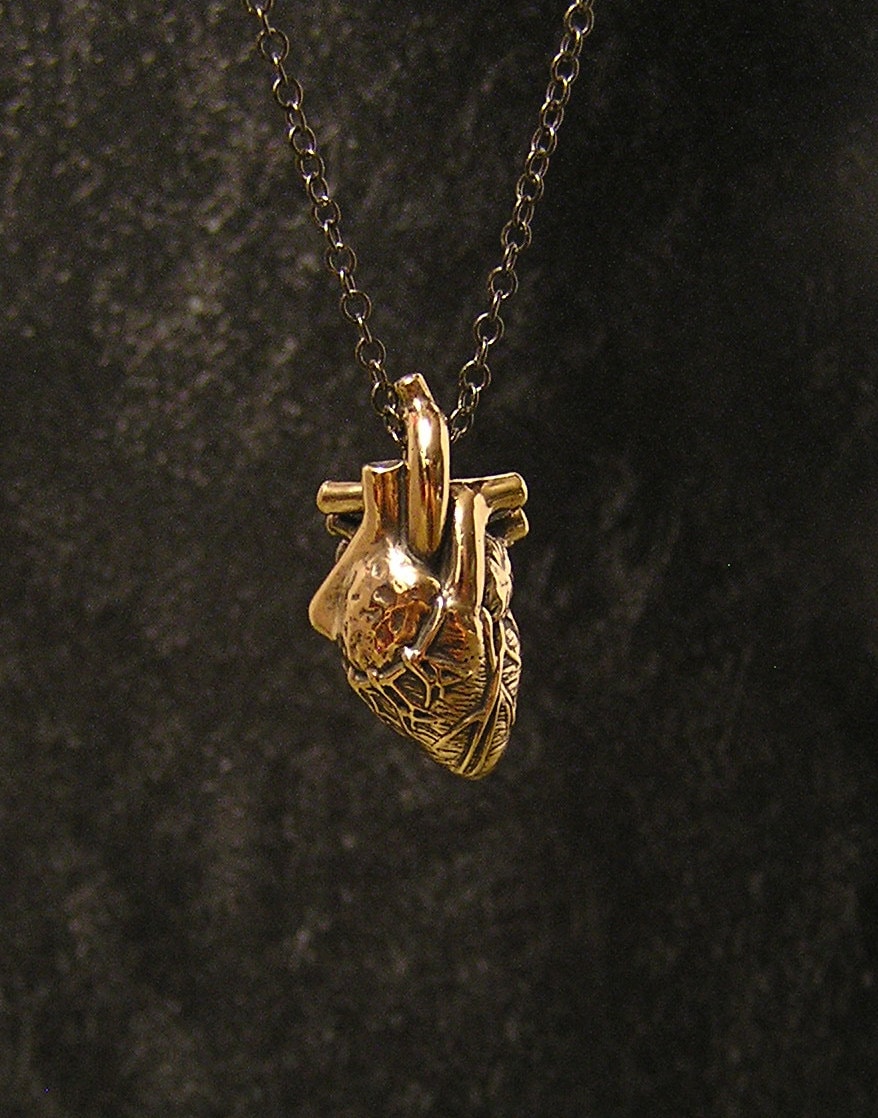 Anatomical Heart Necklace on a 20 Inch Chain br - Etsy UK