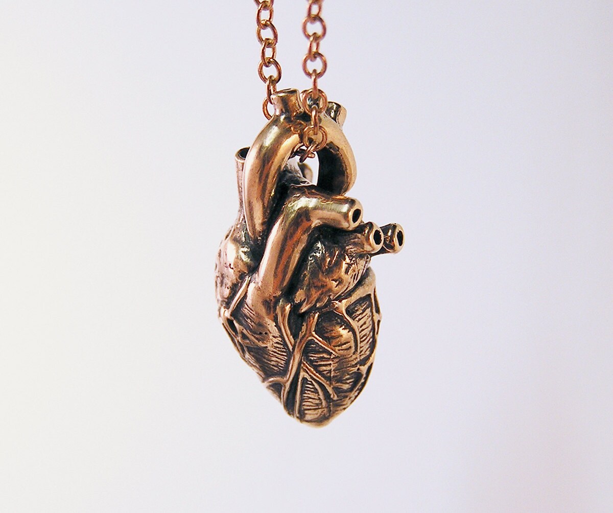 Anatomical Heart Necklace on a 20 Inch Chain br Etsy UK