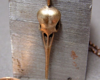 Hummingbird Skull, Necklace Pendant (bronze) with 20" inch chain