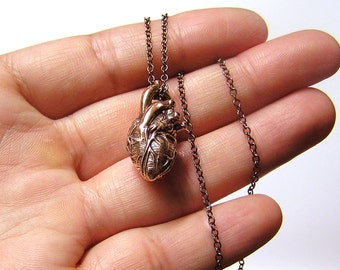 Anatomical human Heart, bronze, 20 inch chain (br)