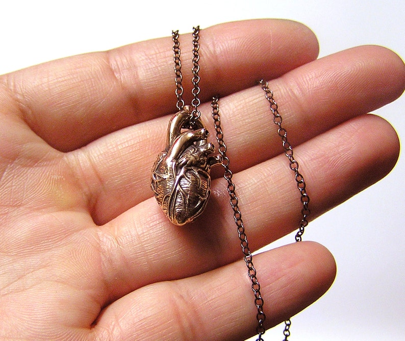 Anatomical Heart Necklace on a 20 inch chain br image 0
